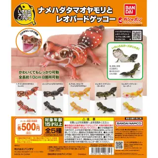 いきもの大図鑑レプティ ナメハダタマオヤモリとレオパードゲッコーの画像