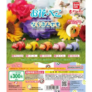 お花べこ ならぶんです。の画像