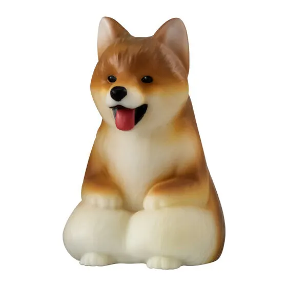 大きな光るまてぼうけ 犬 柴犬