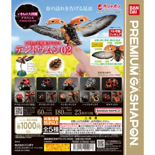 いきもの大図鑑アドバンス テントウムシ02の画像