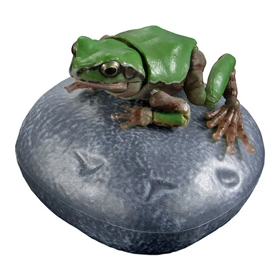 いきもの大図鑑アドバンス アマガエル02 アマガエル(グリーン)