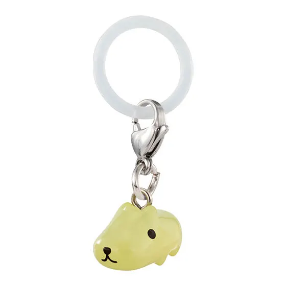 カピバラさん めじるしアクセサリー ひだまりさん