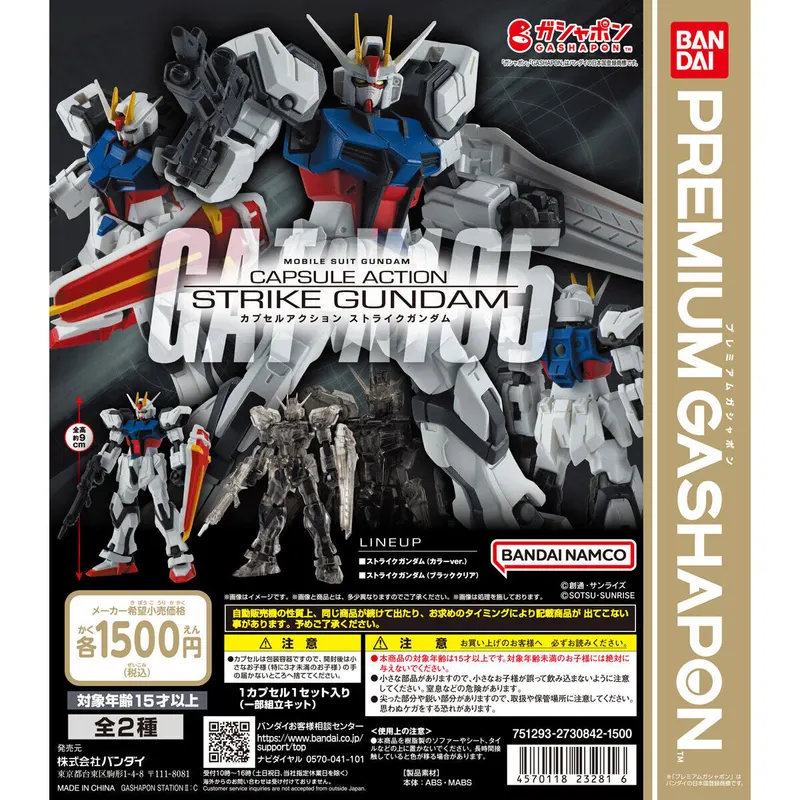 機動戦士ガンダム CAPSULE ACTION ストライクガンダムの台紙
