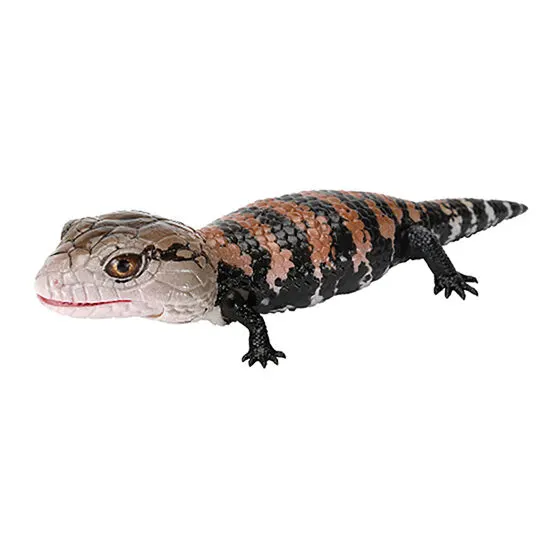 いきもの大図鑑レプティ アオジタトカゲとニシアフリカトカゲモドキ アオジタトカゲ(ノーマル)