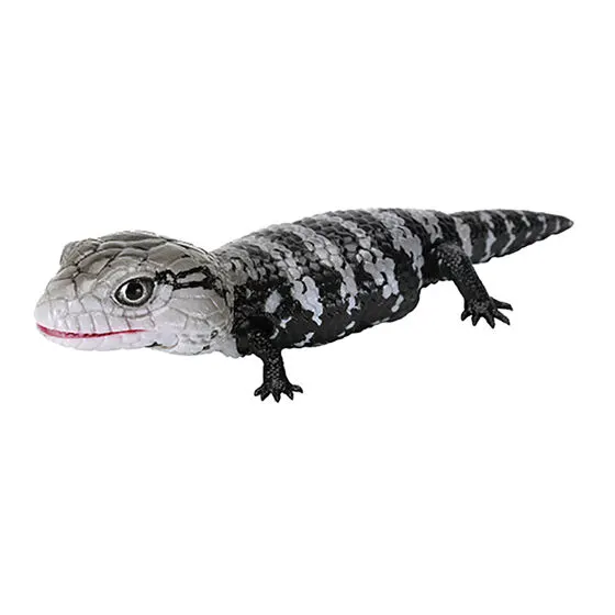 いきもの大図鑑レプティ アオジタトカゲとニシアフリカトカゲモドキ アオジタトカゲ(アザンティック)