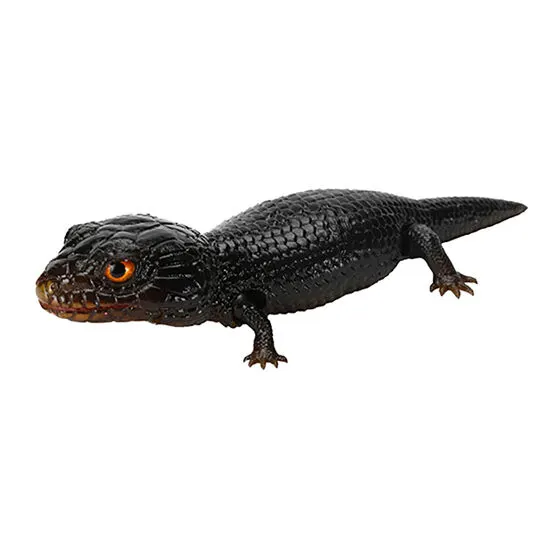 いきもの大図鑑レプティ アオジタトカゲとニシアフリカトカゲモドキ アオジタトカゲ(メラニスティック)