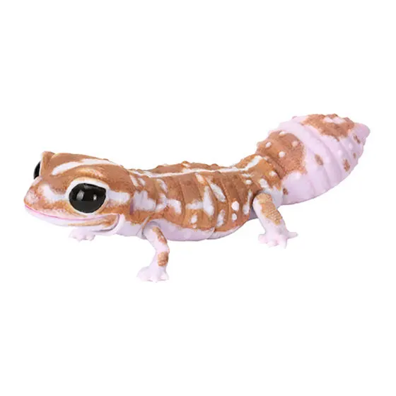 いきもの大図鑑レプティ アオジタトカゲとニシアフリカトカゲモドキ ニシアフリカトカゲモドキ(ホワイトアウトキャラメル)