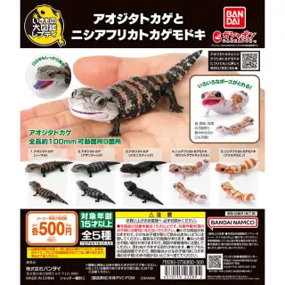 いきもの大図鑑レプティ アオジタトカゲとニシアフリカトカゲモドキの画像