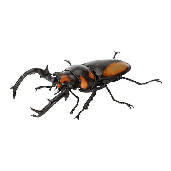 いきもの大図鑑 くわがた08 スペキオススシカクワガタ