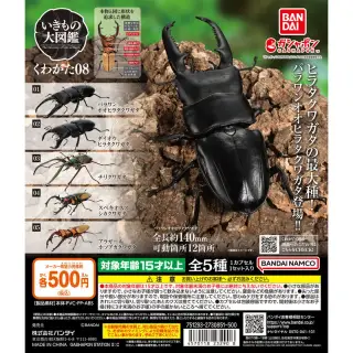 いきもの大図鑑 くわがた08の画像