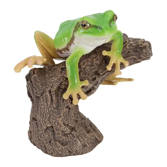 いきもの大図鑑 指まきコレクション アマガエルとミルキーツリー アマガエル(グリーン)