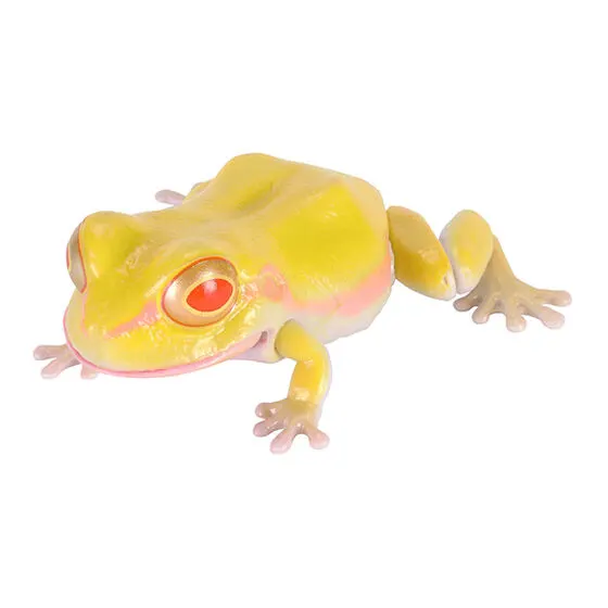 いきもの大図鑑 レプティ アマガエル アマガエル(アルビノイエロー)