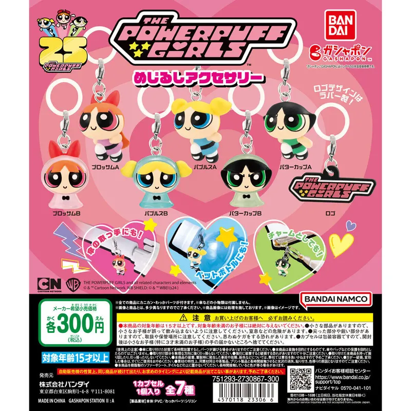 パワーパフガールズ めじるしアクセサリーの台紙