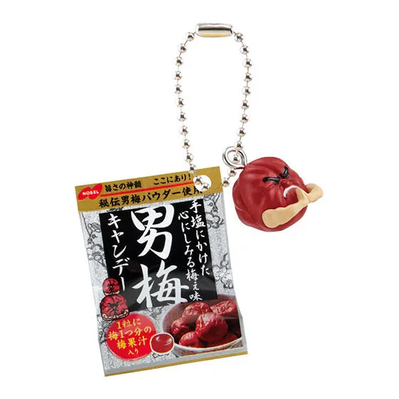 ノーベル製菓 シャカシャカミニチュアチャーム 男梅キャンデー
