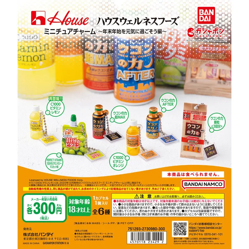 ハウスウェルネスフーズ ミニチュアチャーム ~年末年始を元気に過ごそう編~の台紙