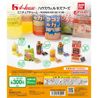 ハウスウェルネスフーズ ミニチュアチャーム ～年末年始を元気に過ごそう編～の画像