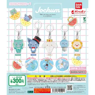 JOCHUM めじるしアクセサリー1の画像