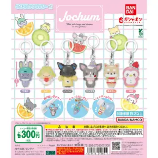 JOCHUM めじるしアクセサリー2の画像