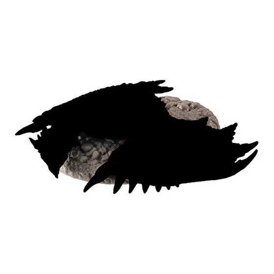 モンスターハンター 捕獲し隊2 シークレット