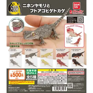 いきもの大図鑑レプティ ニホンヤモリとフトアゴヒゲトカゲの画像