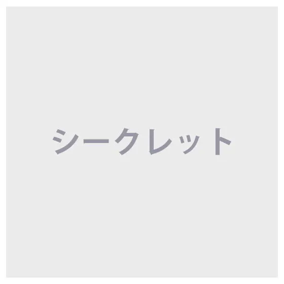 Helinox ミニチュアアソート Chair(シークレット)