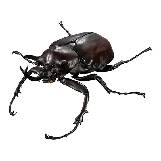 いきもの大図鑑アドバンス ゾウカブトとヘラクレスオオカブト マルスゾウカブト