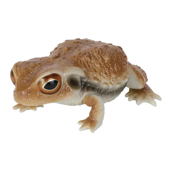いきもの大図鑑レプティ ヒキガエルとモリアオガエル ヒキガエル（レッド）