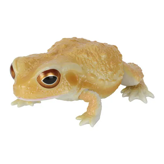 いきもの大図鑑レプティ ヒキガエルとモリアオガエル ヒキガエル（イエロー）
