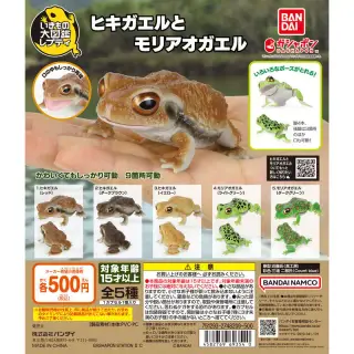 いきもの大図鑑レプティ ヒキガエルとモリアオガエルの画像