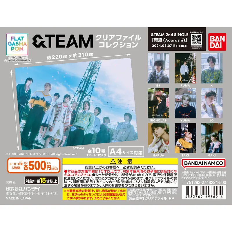 &TEAM クリアファイルコレクションの台紙