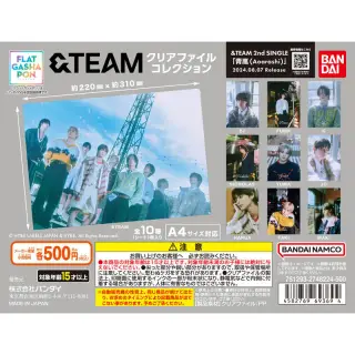 &TEAM クリアファイルコレクションの画像