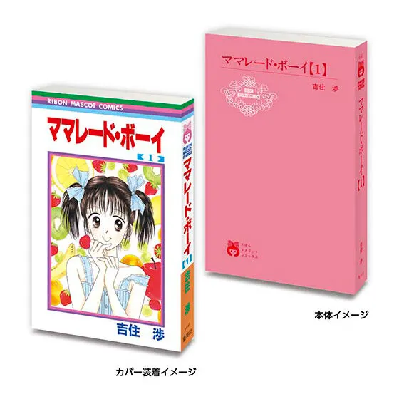 豆ガシャ本 りぼん70周年記念「りぼんコミックス」 ママレード・ボーイ1