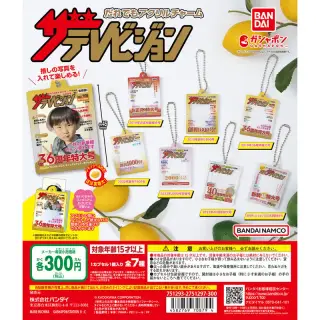 ザテレビジョン だれでもアクリルチャームの画像