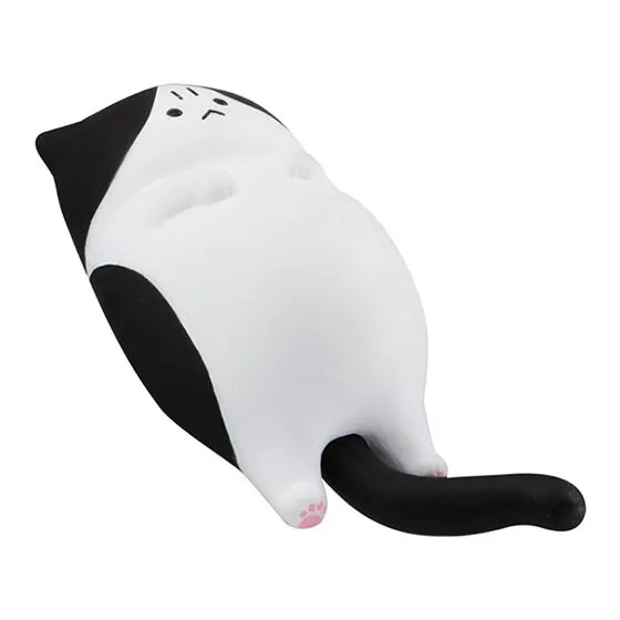 怒った猫ちゃあぁぁん あなざーからー へそてんで怒ってる猫ちゃん