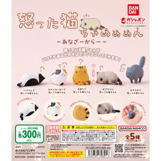 怒った猫ちゃあぁぁん あなざーからーの画像