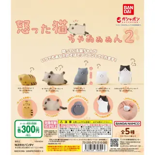 怒った猫ちゃあぁぁん 2の画像