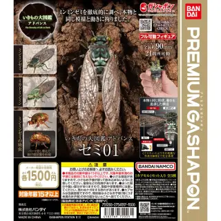 いきもの大図鑑アドバンス セミ01の画像