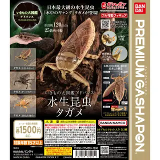 いきもの大図鑑アドバンス 水生昆虫タガメの画像