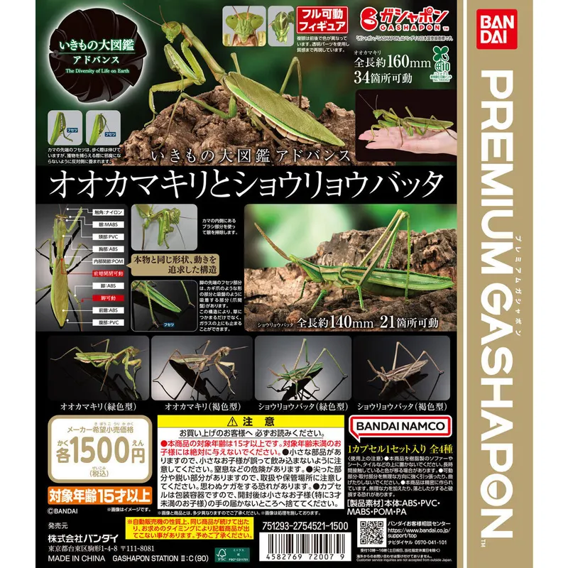 いきもの大図鑑アドバンス オオカマキリとショウリョウバッタの台紙