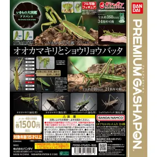 いきもの大図鑑アドバンス オオカマキリとショウリョウバッタの画像