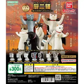厨二猫（ちゅうにびょう） ～俺たちの黒歴史ベストセレクション～の画像