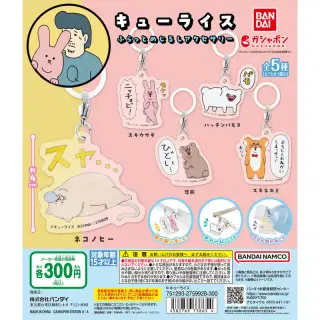 キューライス ふらっとめじるしアクセサリーの画像