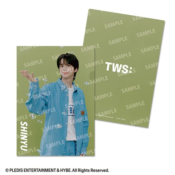 TWS From PLEDIS ENTERTAINMENT クリアファイルコレクション SHINYU