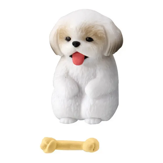 まてぼうけ 犬2 シーズー