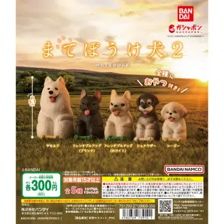 まてぼうけ 犬2の画像