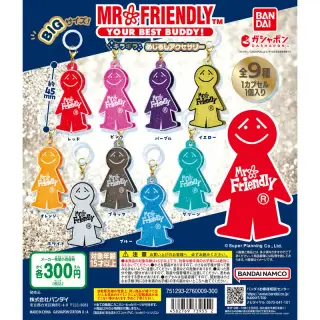 MR.FRIENDLY（ミスター・フレンドリー) キラキラめじるしアクセサリーの画像