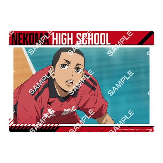 劇場版ハイキュー!! ゴミ捨て場の決戦 クリアビジュアルポスター2 デザインG