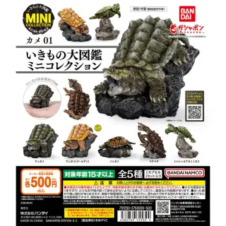 いきもの大図鑑ミニコレクション カメ01の画像