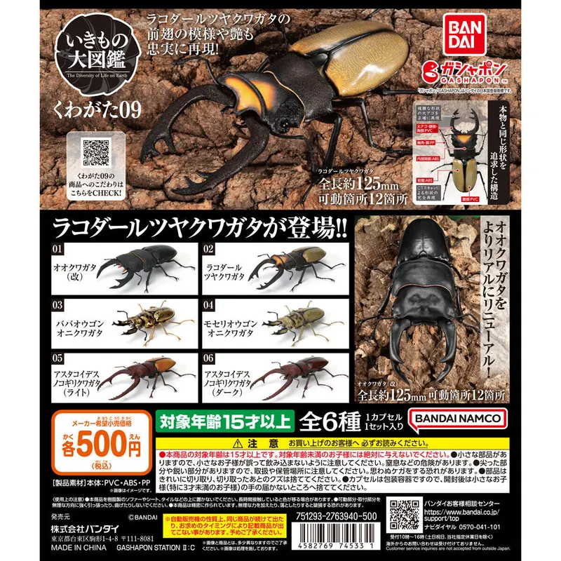 いきもの大図鑑 くわがた09の台紙
