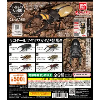 いきもの大図鑑 くわがた09の画像